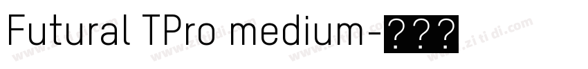Futural TPro medium字体转换